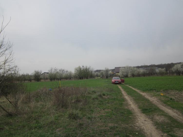 Teren Construcții intravilan de 646 mp, în Domnești