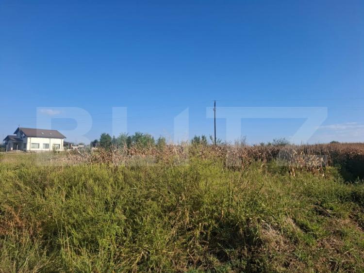Teren intravilan 5.000 mp in Bungetu, langa lacuri de pes - 3
