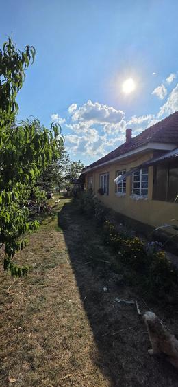 Casă cu 3 camere cu Teren 2500 Mp în Central