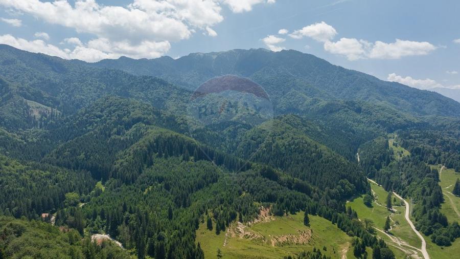 Teren Construcții intravilan de 3000 mp, în Dâmbul Morii