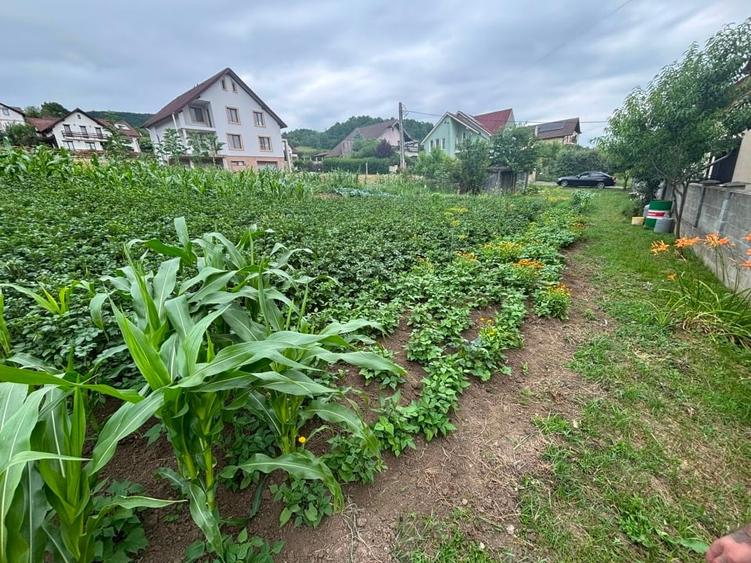 Teren Construcții intravilan de 800 mp, în Nord