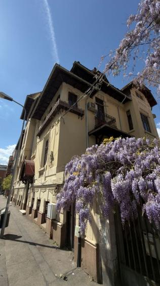 Birou, de 25 mp, în Grădina Icoanei