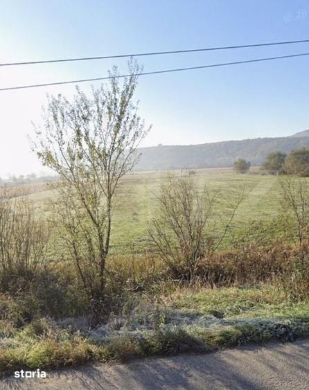 Teren extravilan de vanzare, 1 hectar, zona Monariu - 1