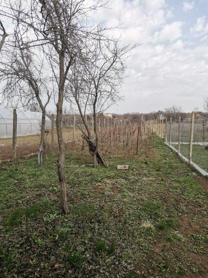 Casă cu 4 camere cu Teren 1400 Mp în Caracal