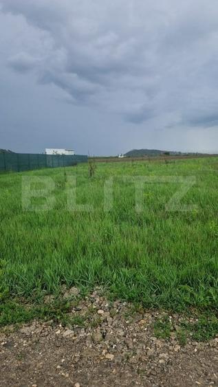 Teren Construcții intravilan de 800 mp, în Bod
