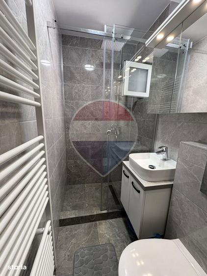 Apartament cu 2 camere de inchiriat in zona Centrul Universitar Nord - 2