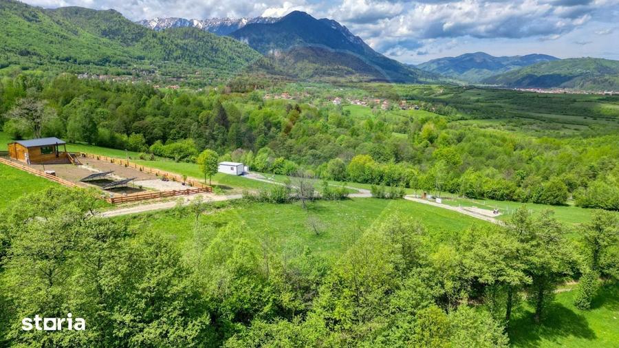 Teren de 1000 mp, în Tohănița