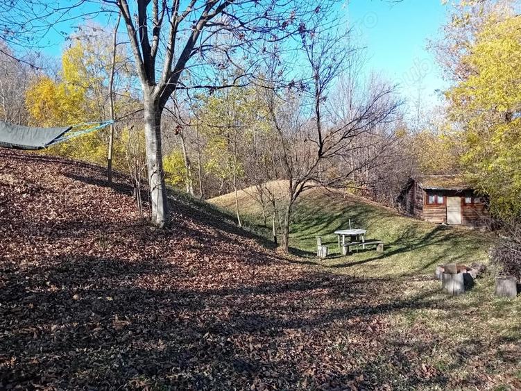 Teren de 1000 mp, în Brebu
