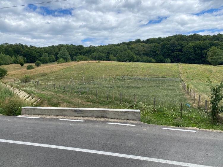 Teren de 10000 mp, în Drăghici