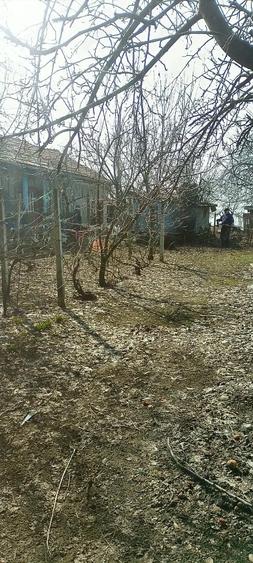 Casă cu 6 camere cu Teren 1600 Mp în Fântânele