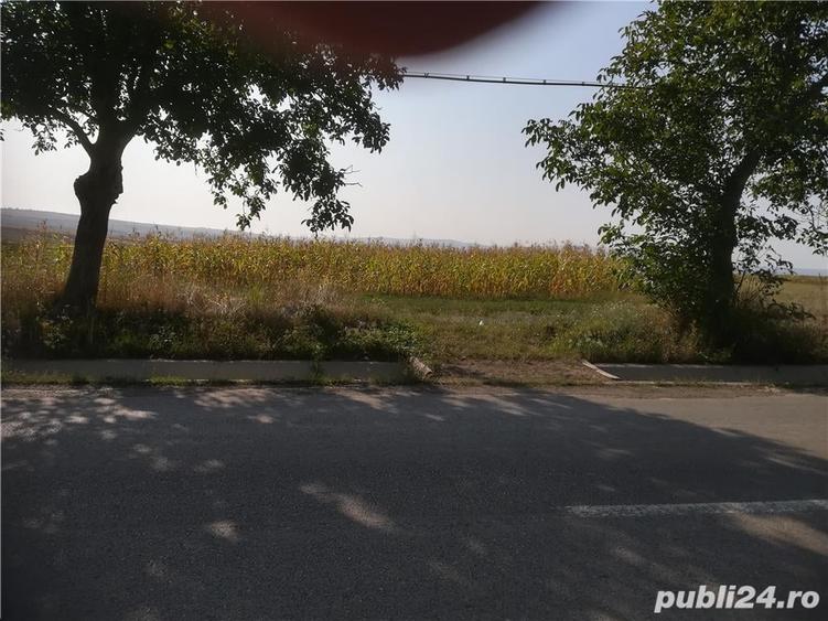 Teren de 5000 mp, în Cristești