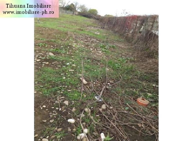 Teren Construcții intravilan de 440 mp, în Bereasca