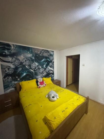 Apartament cu 2 intrari, beci 27 mp, mobilat – Orasul Vechi - 9