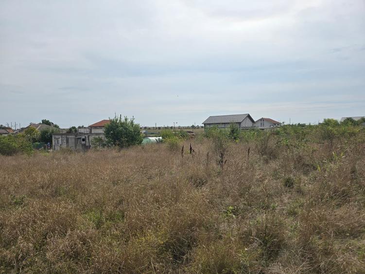 Teren Construcții intravilan de 800 mp, în Agigea