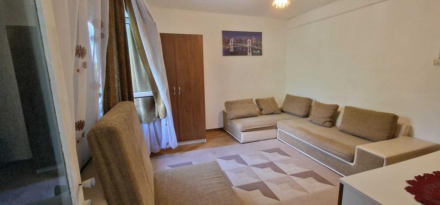 Inchiriere apartament 1 camera Nae Leonard - 7