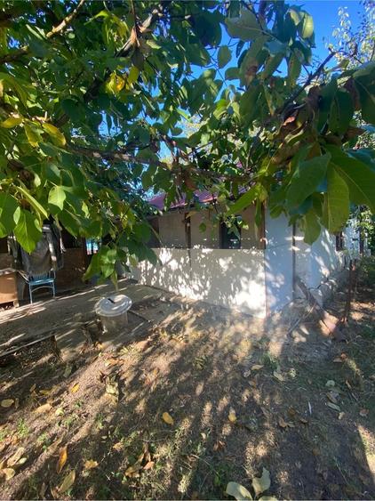 Casă cu 3 camere cu Teren 1600 Mp în Bujoreni