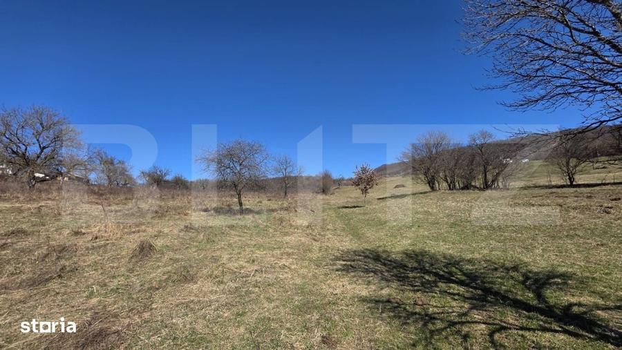 Teren de vanzare de 8,567MP in zona: Tarpiului - 3