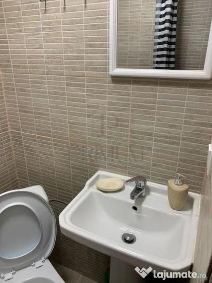 BUZIASULUI - APARTAMENT 1 CAMERA - mobilat, utilat, decomand - Timisoara (Timis) - 6