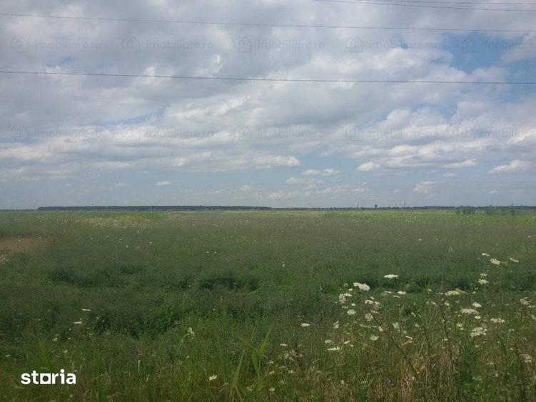 Teren extravilan 18.940 mp in Focsani, Soseaua Suraii, Onasis - 5