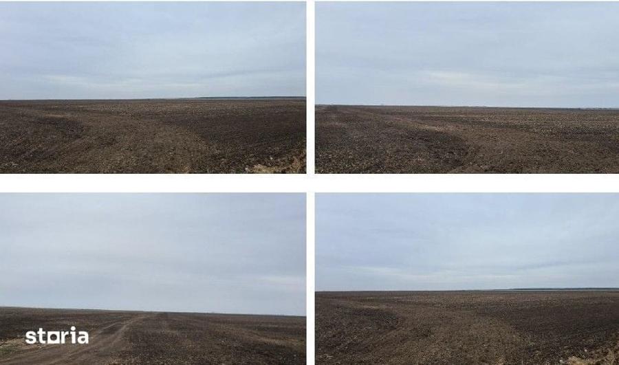 Teren de 5000 mp, în Gălbinași