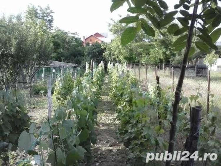 Casă cu 6 camere cu Teren 1806 Mp în Mărăcineni