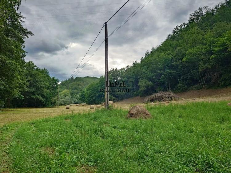 Teren de 5800 mp, în Podele