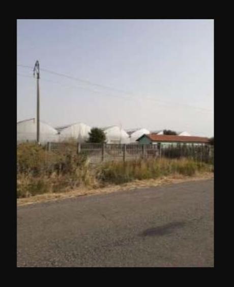 Spațiu industrial, de 7,300 mp, în Uivar