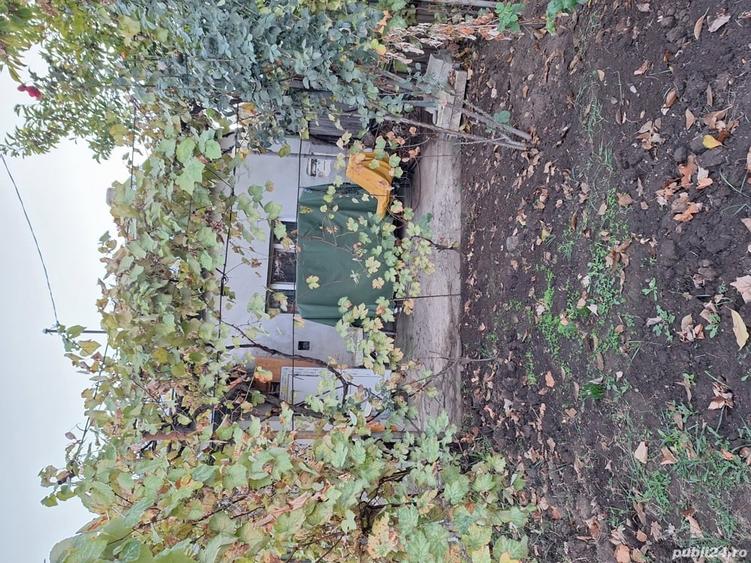 Casă cu 6 camere cu Teren 280 Mp în Central