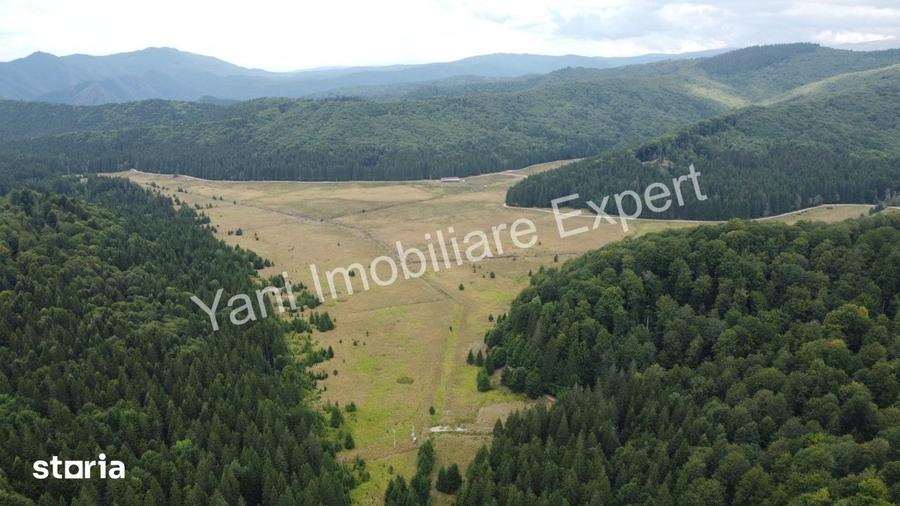 Teren de vanzare pe Transfagara?an, zona Molivi?u ( 69.450 mp ) - 13