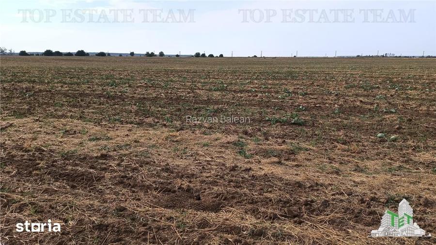 Oferim spre vanzare 6 loturi de teren extravilan (agricol) in Petrachi