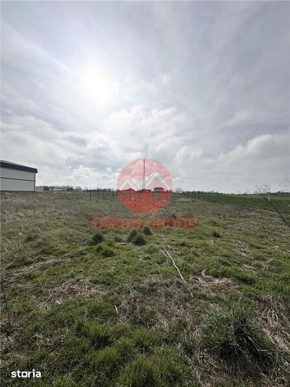 Teren intravilan 513 mp, Zona Viile Noi, Constanta - 6