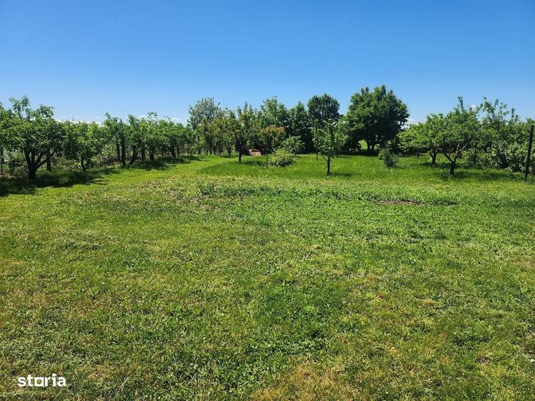 Casă cu 3 camere în Dumbrava