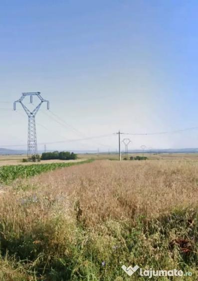 Teren în Central