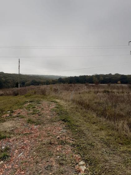 Teren Construcții intravilan de 11300 mp, în Corunca