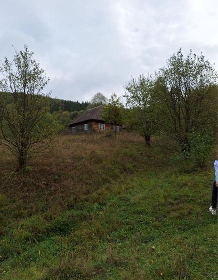 Spațiu comercial, în Valea Neagră