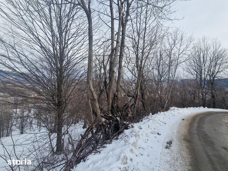 Teren de 12000 mp, în Ghioșești