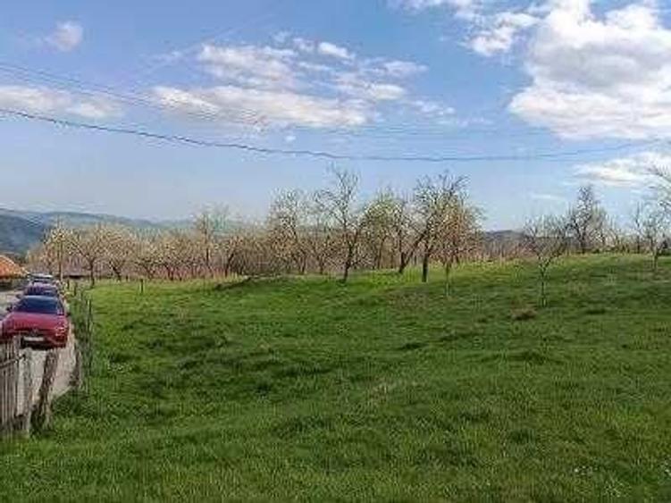 Teren de 2000 mp, în Talea