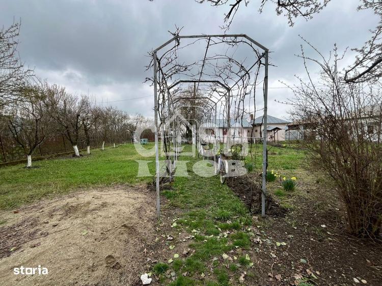 Casuta din lemn de weekend sau casa de vacanta cu teren si livada - 6