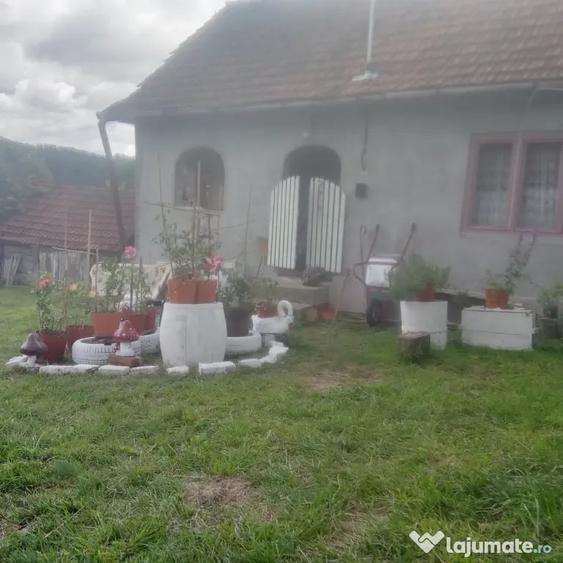 Casă cu 2 camere în Central