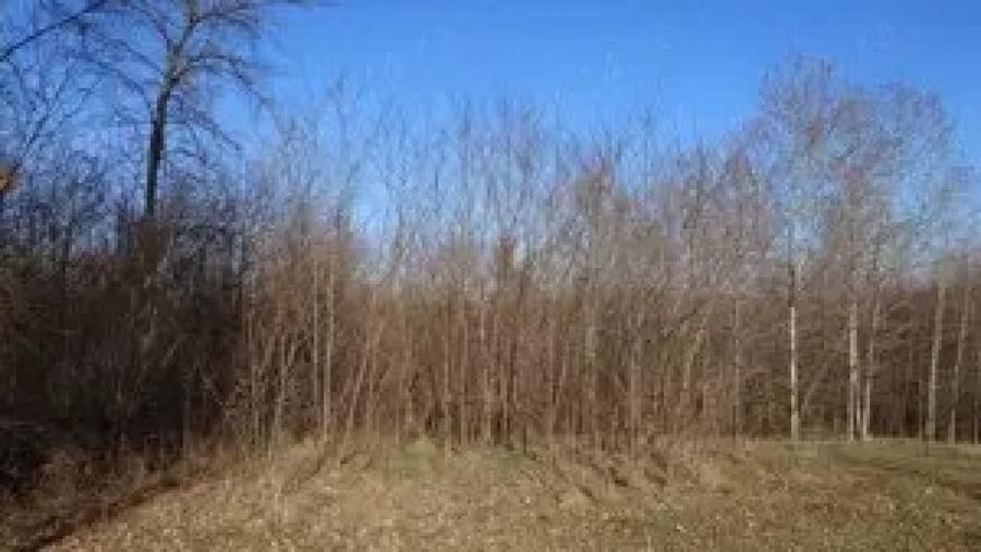 Teren de 2800 mp, în Ștubeiu