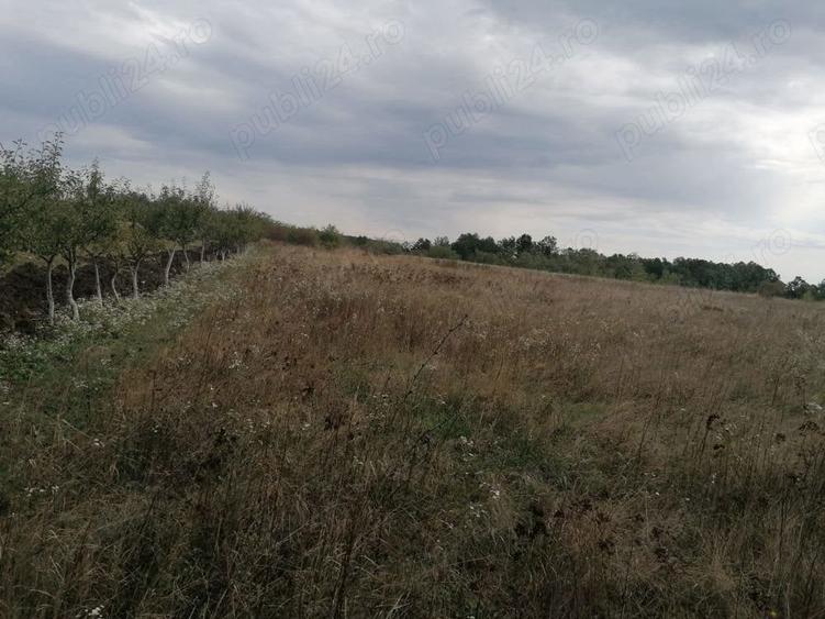 Teren în Central