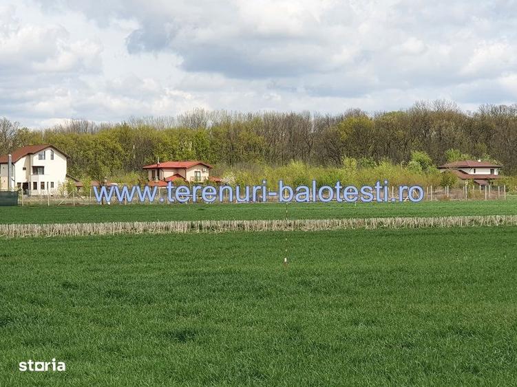 Vanzare teren langa padure,drum amenajat,case noi ,620 mp,26500 E - 8