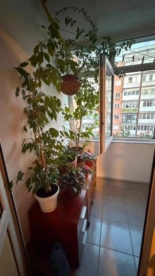Apartament cu 4 camere decomandat în Central