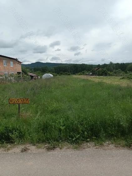 Teren de 3055 mp, în Bujoreni