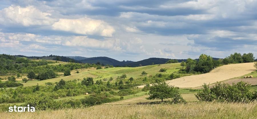 Teren de 9528 mp, în Vârciorog