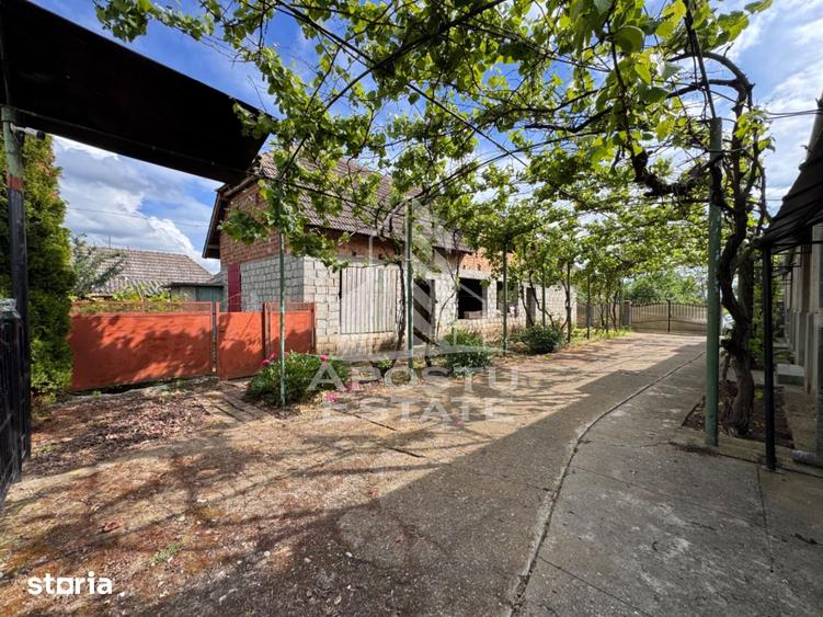 Casă cu Teren 1439 Mp în Central