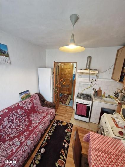 Apartament cu 2 camere în Buziașului