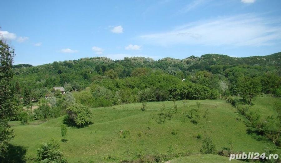 Teren de 5800 mp, în Valea