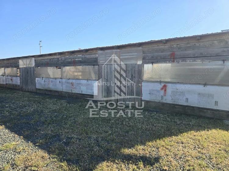 Ferma cu casa, zero comision, in Horia