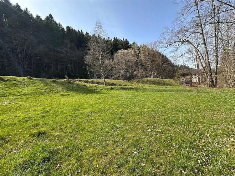 Teren Construcții intravilan de 6888 mp, în Putna